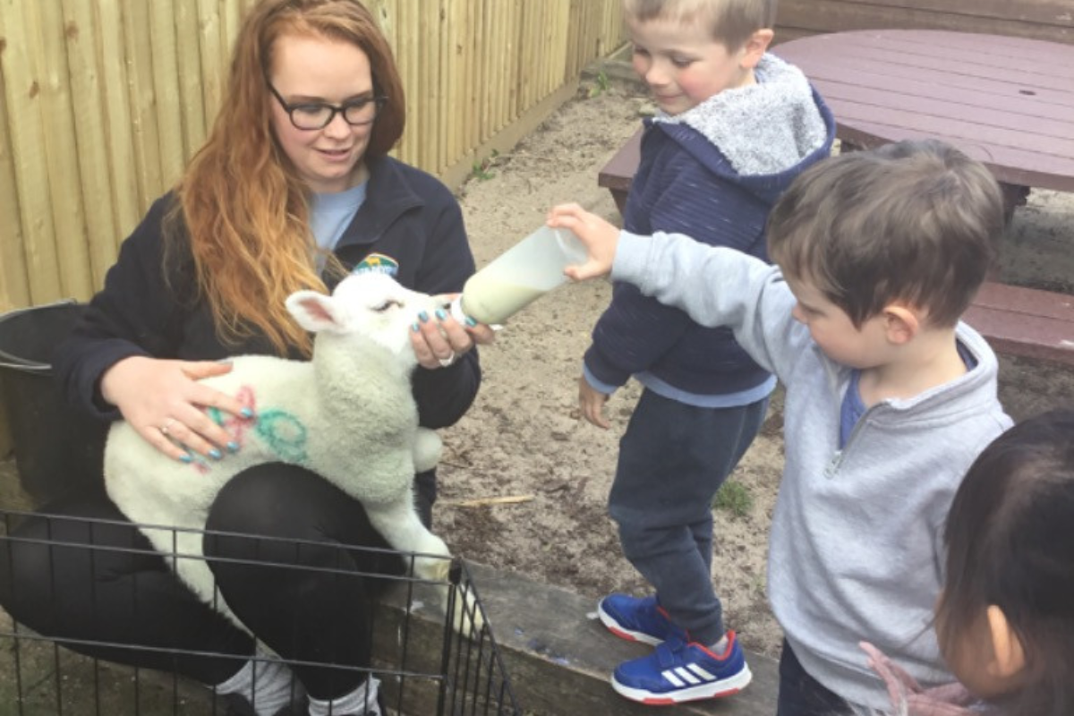 Hopscotch Seaford lamb feeding in garden 1
