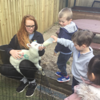 Hopscotch Seaford lamb feeding in garden 1