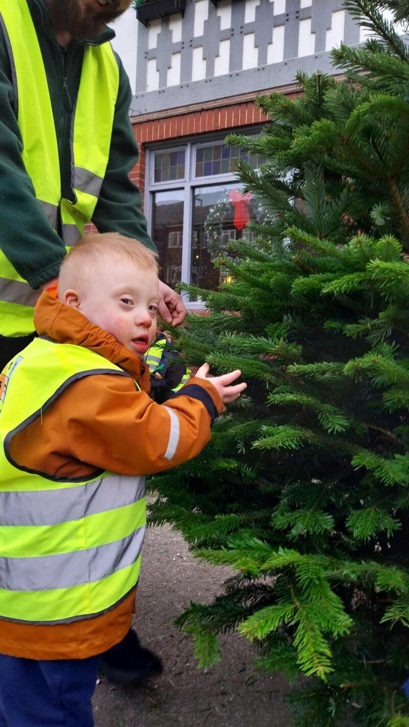 West Hove Christmas tree 2